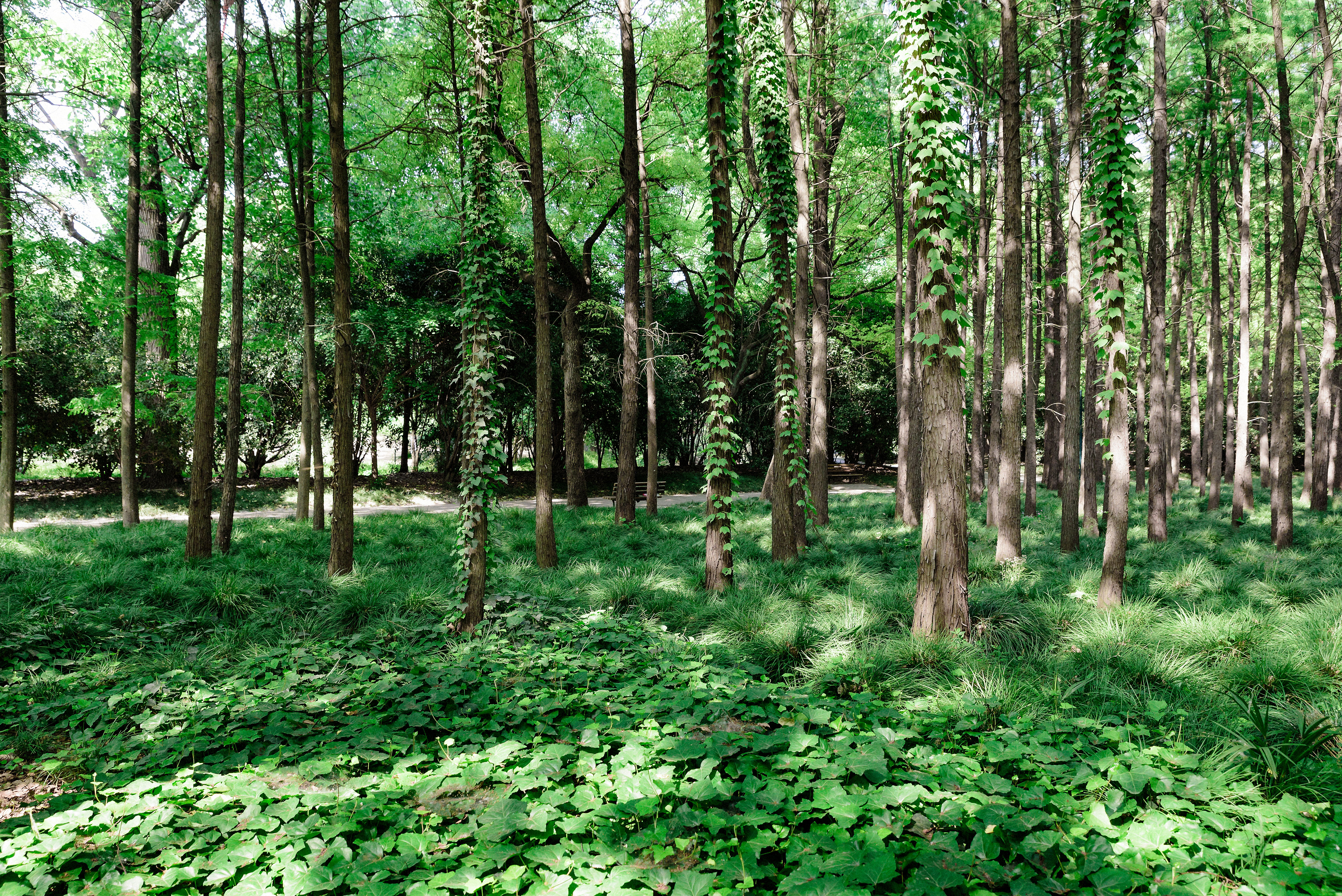 林業穿什么勞保鞋比較好，從事勞保防護用品十年人員表示：必須有這幾款！